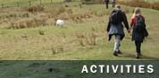 section title - activities